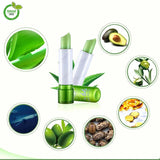 Compre 1 Leve 3 - Batom Hidratante Anti-Envelhecimento - AloeVera®