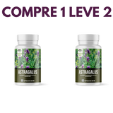 Astragalus – Fortaleça sua Imunidade e  seu Corpo