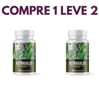 Astragalus – Fortaleça sua Imunidade e  seu Corpo