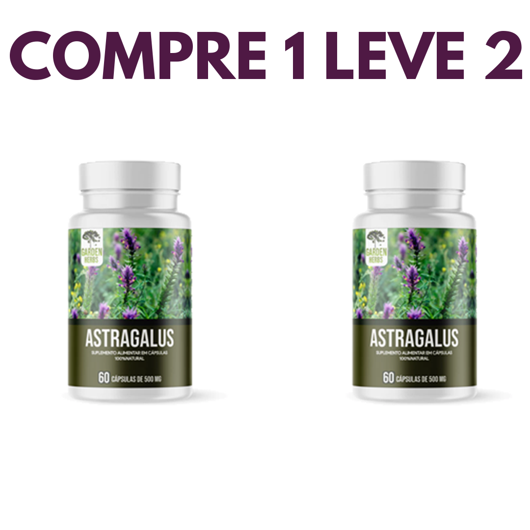 Astragalus – Fortaleça sua Imunidade e  seu Corpo