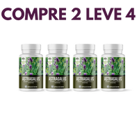 Astragalus – Fortaleça sua Imunidade e  seu Corpo