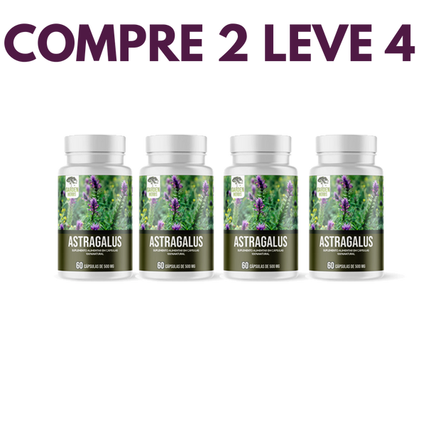 Astragalus – Fortaleça sua Imunidade e  seu Corpo