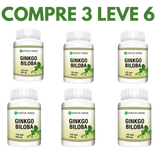 Ginkgo Biloba: A Fórmula Natural para Memória e Bem-Estar