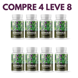 Astragalus – Fortaleça sua Imunidade e  seu Corpo