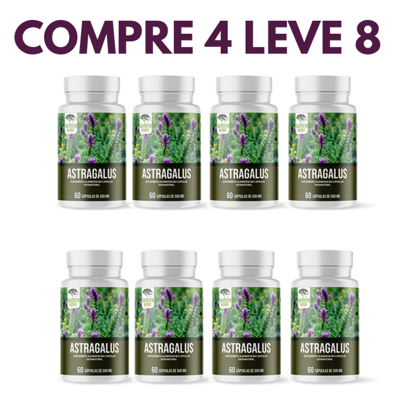 Astragalus – Fortaleça sua Imunidade e  seu Corpo
