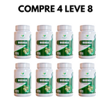 Moringa Oleifera – Qualidade e Bem-Estar em Cada Dose