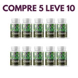 Astragalus – Fortaleça sua Imunidade e  seu Corpo