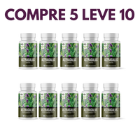 Astragalus – Fortaleça sua Imunidade e  seu Corpo