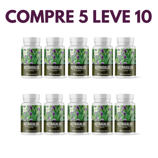 Astragalus – Fortaleça sua Imunidade e  seu Corpo