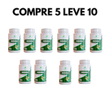 Moringa Oleifera – Qualidade e Bem-Estar em Cada Dose