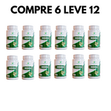 Moringa Oleifera – Qualidade e Bem-Estar em Cada Dose