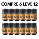 Alfa Homem: Seu Corpo Forte, Sua Mente Equilibrada