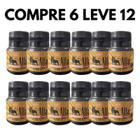 Alfa Homem: Seu Corpo Forte, Sua Mente Equilibrada