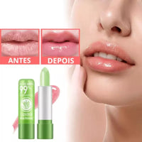 Compre 1 Leve 3 - Batom Hidratante Anti-Envelhecimento - AloeVera®
