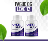 Vital Max: A Energia e Vitalidade que Seu Corpo Precisa